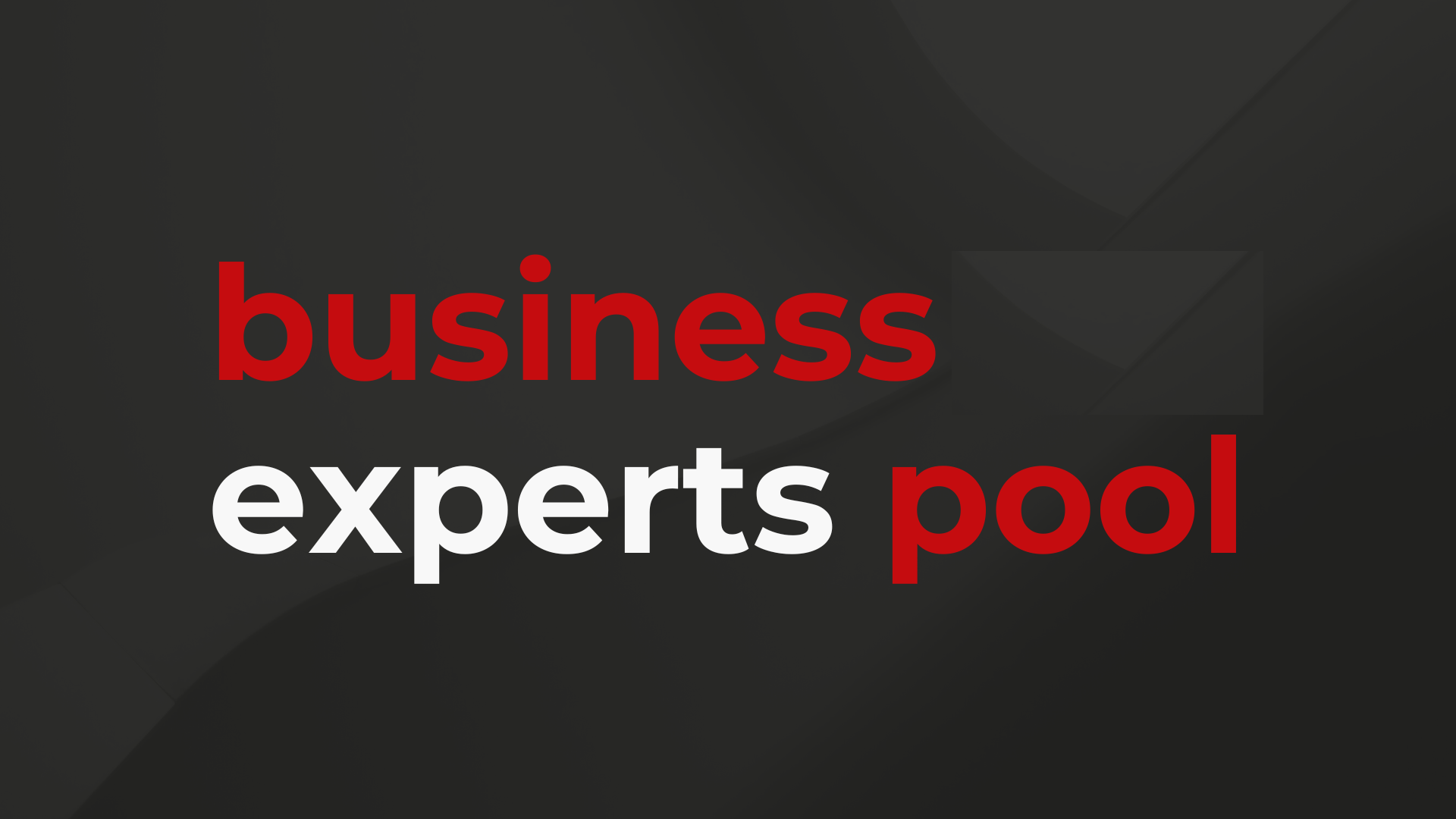 Business Experts Pool